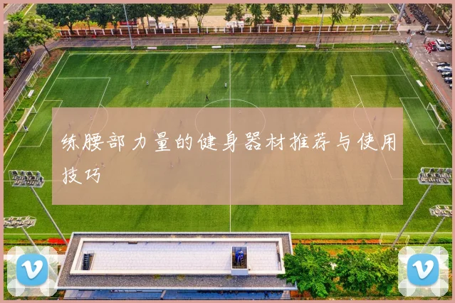 练腰部力量的健身器材推荐与使用技巧